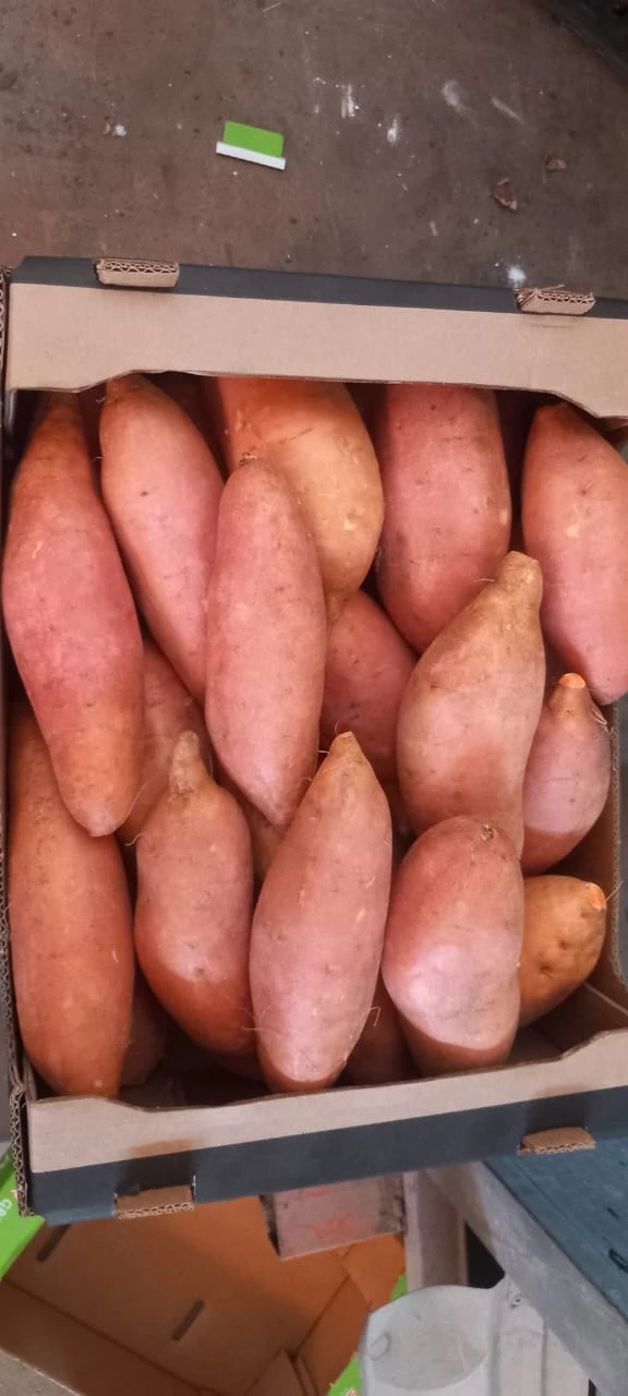 Sweet Potatoes